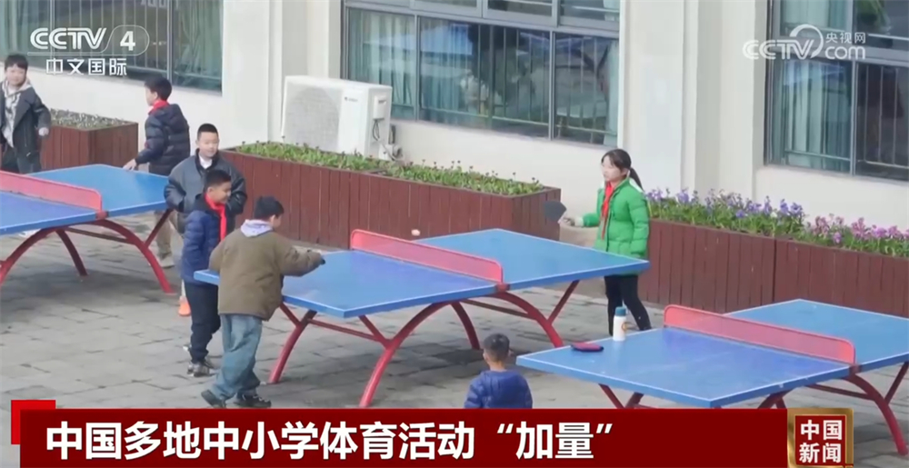 贝尔纳多