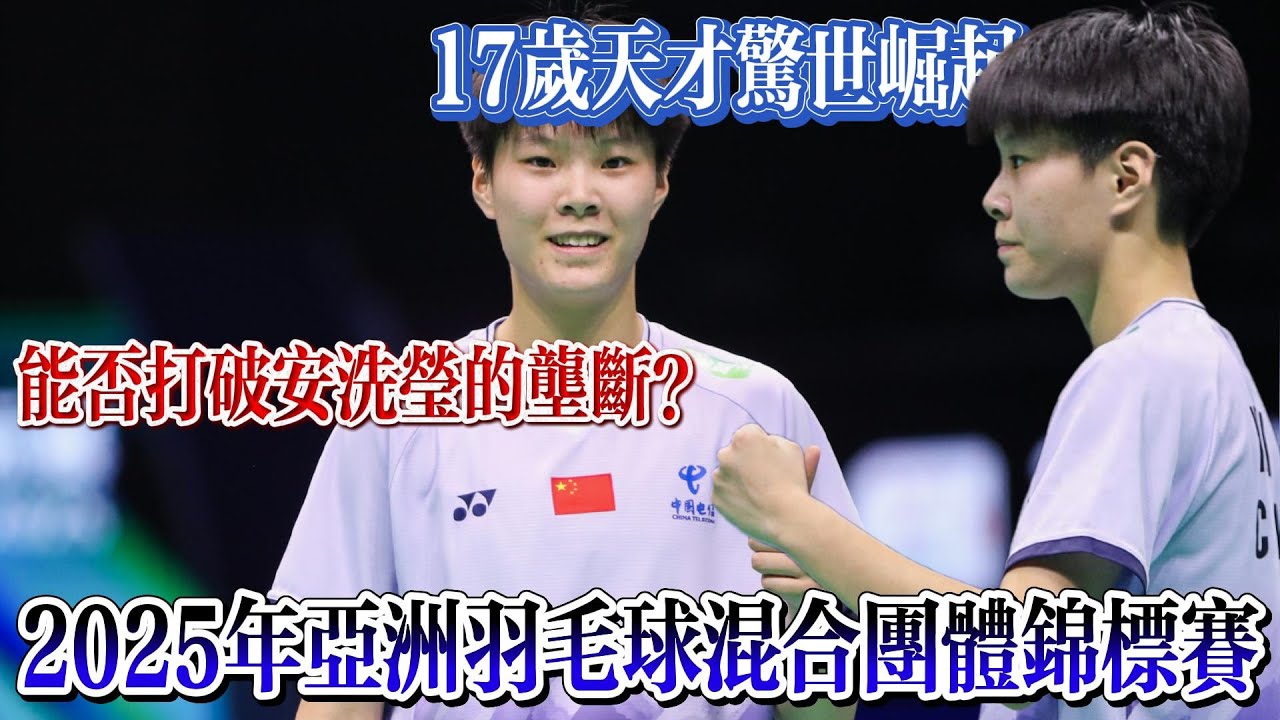 团队表现